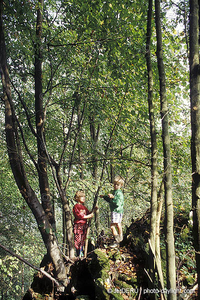 enfants dans les bois - children in a forest